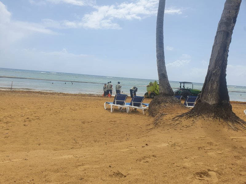 Algas (Sargazo) en playas de Punta Cana y Rep. Dominicana