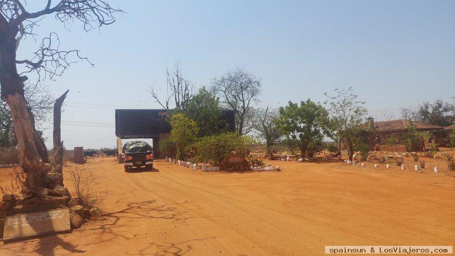 Experiencia en parque Nacional de Tsavo 2