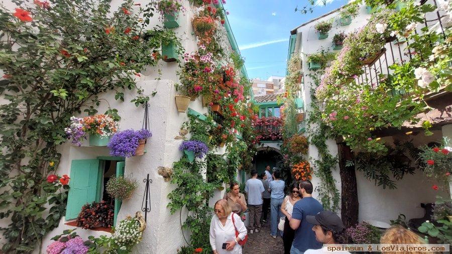 Patios de Córdoba 2026