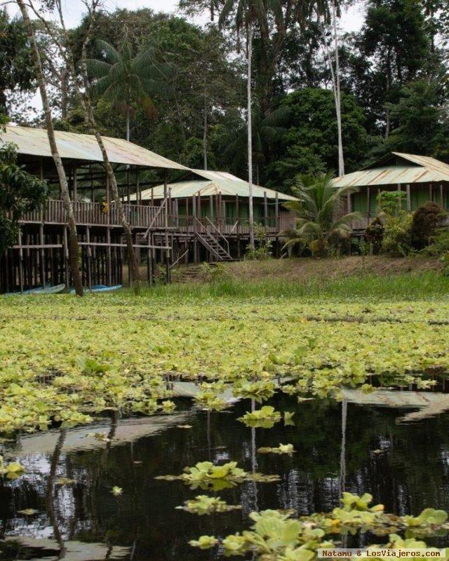 Natamü, refugio ecológico y actividades - Colombia 1