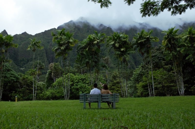 Recién llegados de Hawaii (USA): recomendaciones. Consejos 1