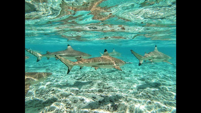 ¿Ranking islas más paradisíaca del mundo? 1