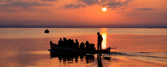 Parque Natural de La Albufera de Valencia