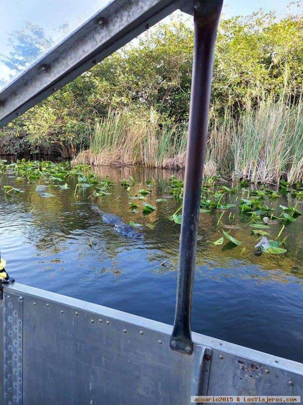 Everglades NP en Florida (USA)