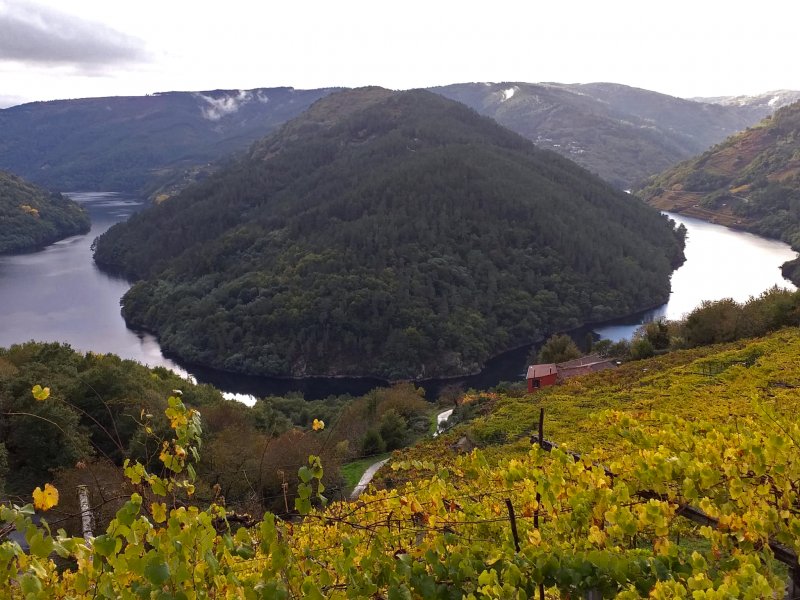 Miradores, fotografía en la Ribeira Sacra - Foro Galicia