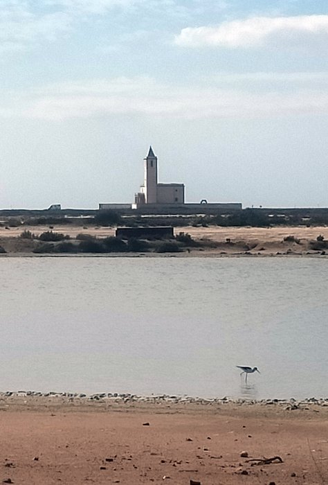 Ruta circular a las Salinas del Cabo de Gata - Almería