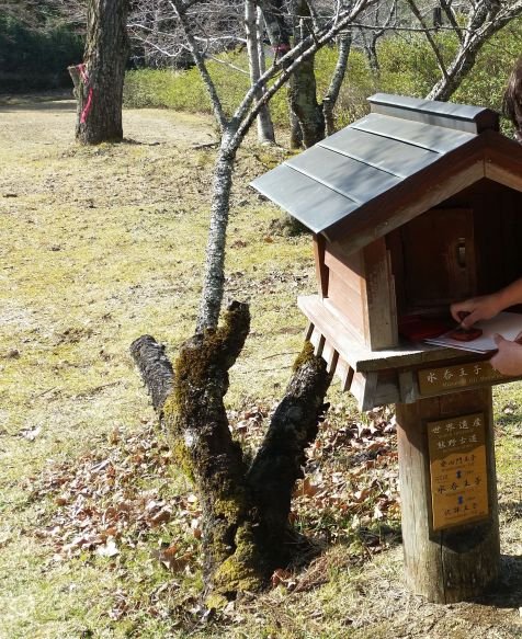 Ruta Kumano Kodo -Península  Kii, Kansai- Trekking  en Japón