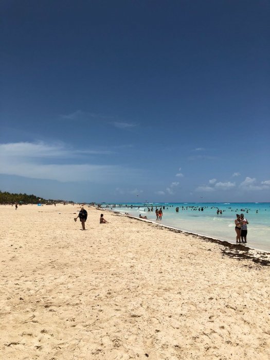 PlayaCar - Riu Yucatan/tequila 2018/30/07, Algas en las playas de Riviera Maya (Sargazo)