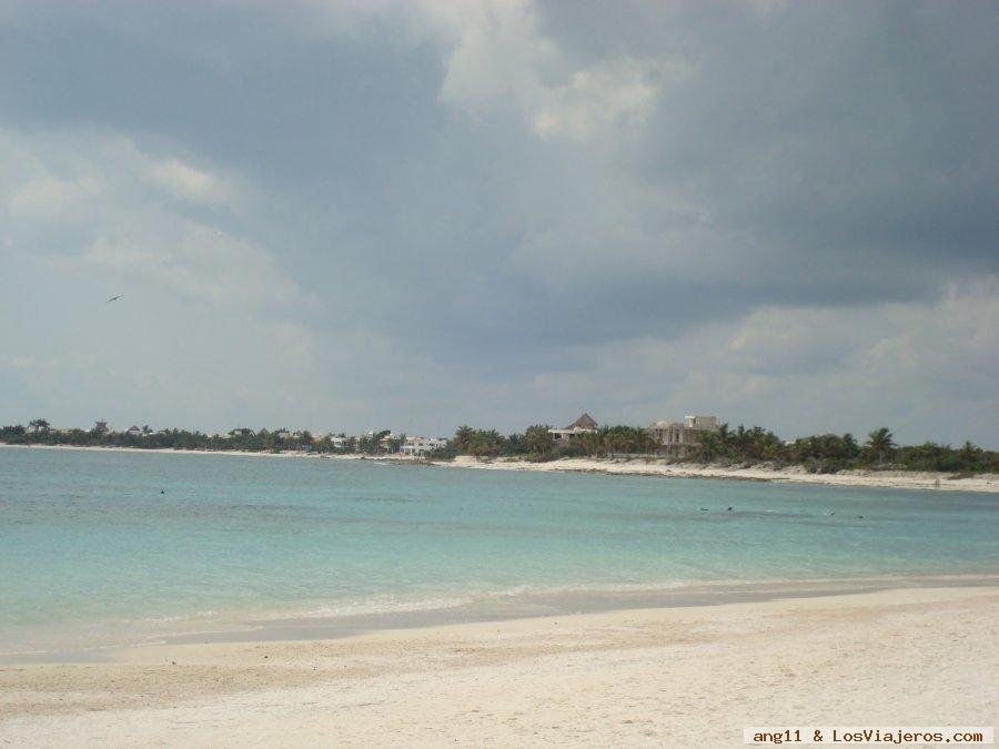 Algas en las playas de Riviera Maya (Sargazo)