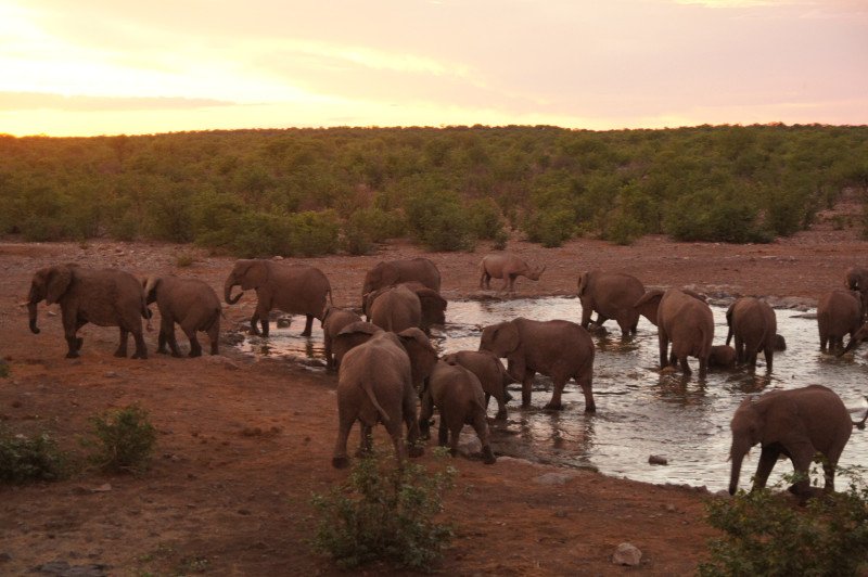 Parque Nacional de Etosha - Namibia 0