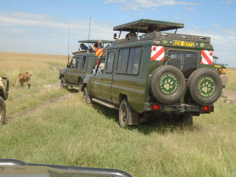 4x4 Safari Jeep, Natural World Kenya Safaris - Travel Agency