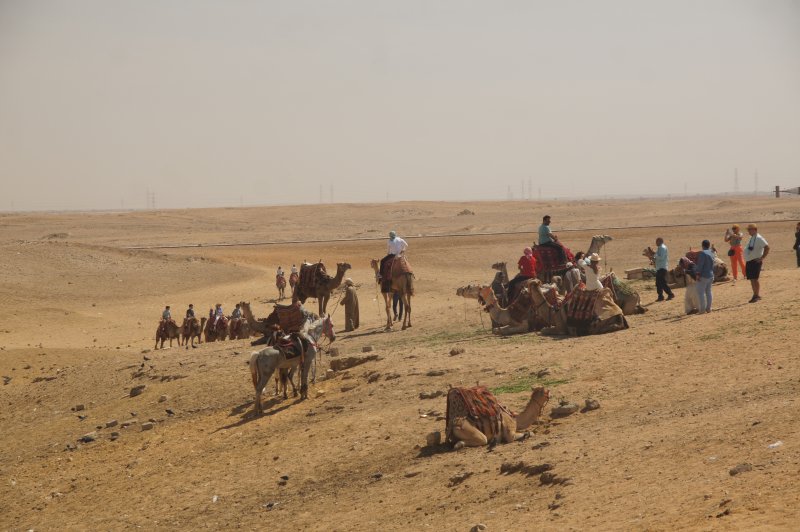 Parada de Camellos en Giza - semana santa 2022, Paseo en Camello en Giza - Excursiones