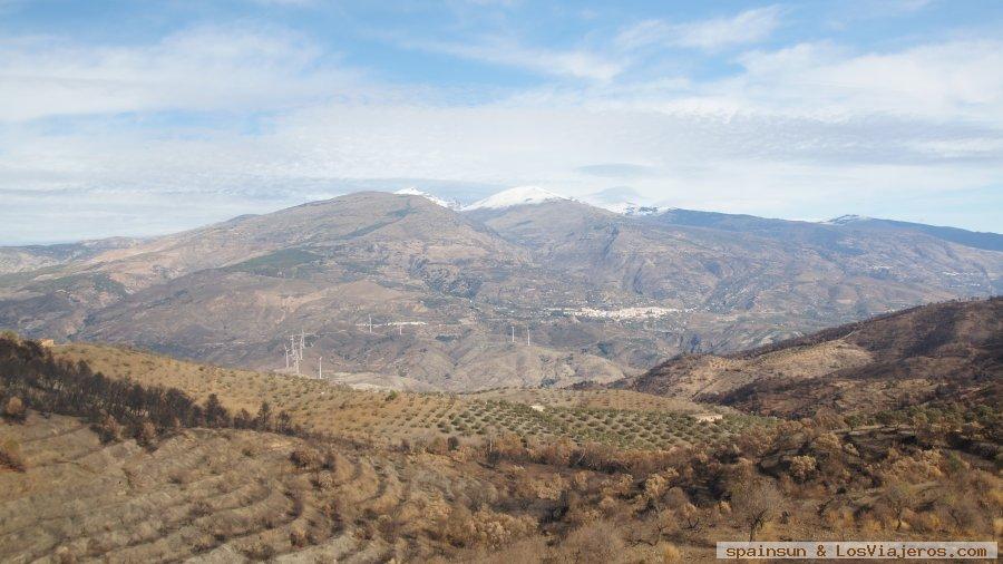 Vistas de Sierra Nevada desde la Torre de la Cebada, Venta de la Cebada: Atalaya y Mirador - Sur de Granada 1