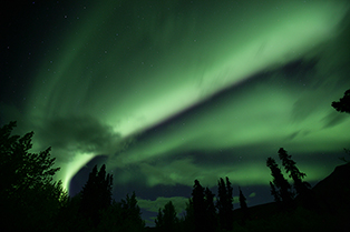 DOGSLEDDING Y AURORAS BOREALES EN YUKON - 1.900€/persona