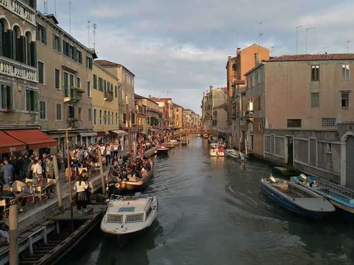 Tours para grupos que llegan en cruero a venecia en español