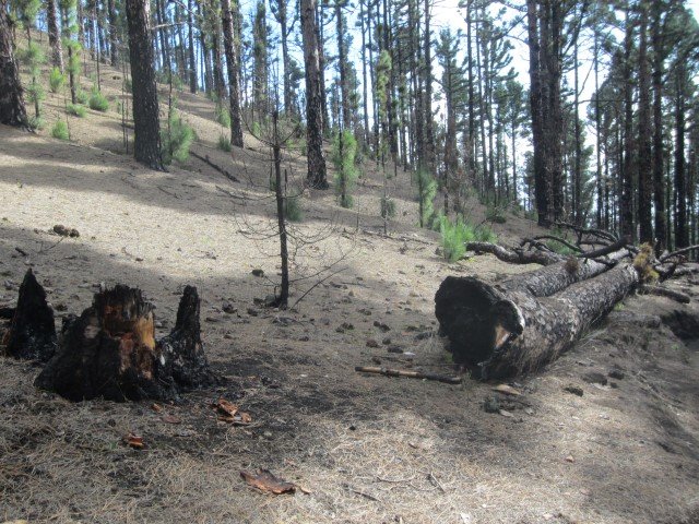 La Palma - Ruta de Los Volcanes