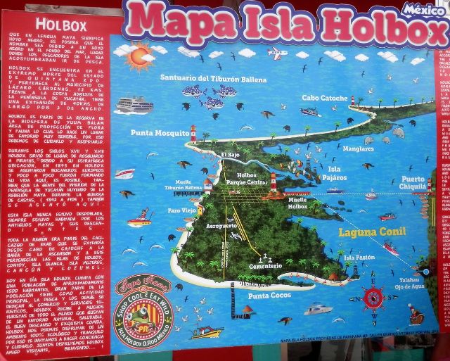 Isla Holbox: Excursión con agencia desde la Riviera Maya 1