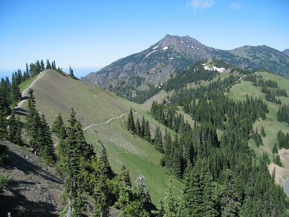 Olympic NP (estado de Washington, USA) 2