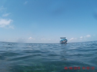 Isla Contoy - Riviera Maya, como ir, excursiones 0