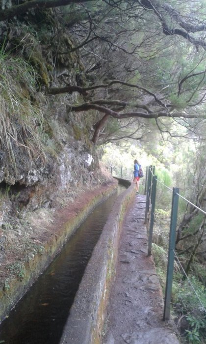 Madeira (Portugal) qué ver o hacer con niños