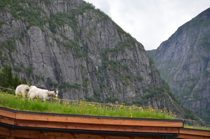 Puerto de Eidfjord (Noruega). Excursiones por libre 1