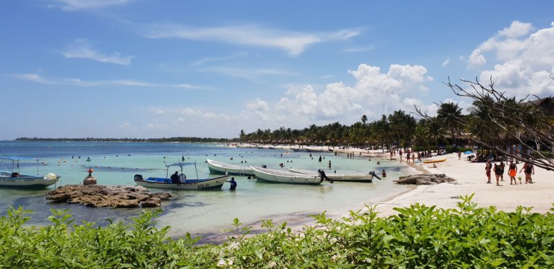 Algas en las playas de Riviera Maya (Sargazo) 3