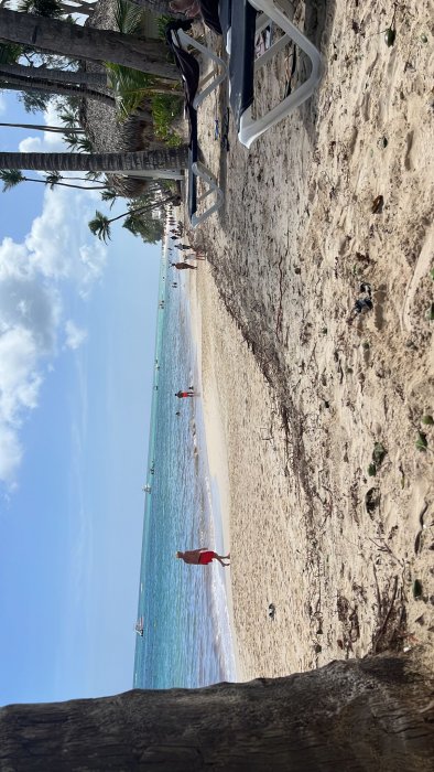 Playa después del huracán Fiona, Huracanes República Dominicana y Caribe 1