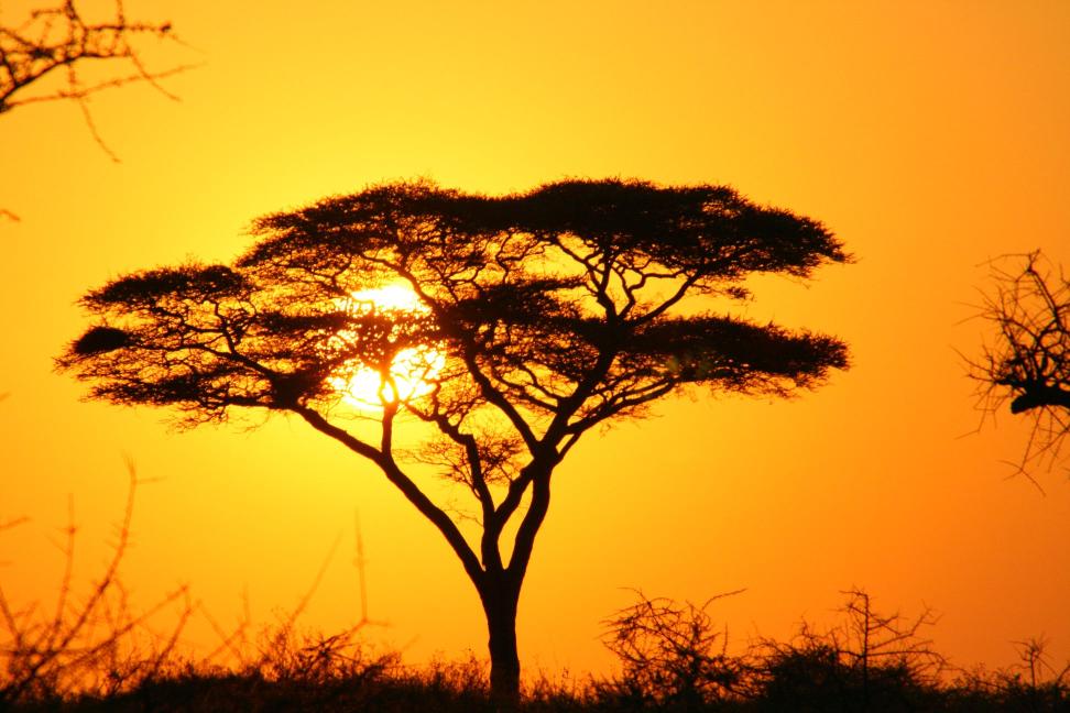 Amanecer en el Serengueti, FOTOS MEMORIAS DE ÁFRICA