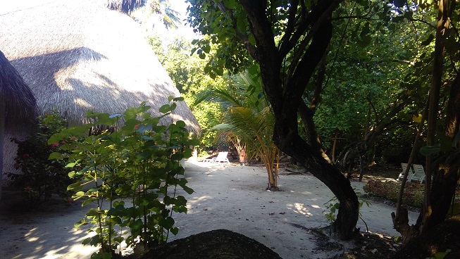 Fihalhohi Island Resort ( Atolón Sur Male) Maldivas 0