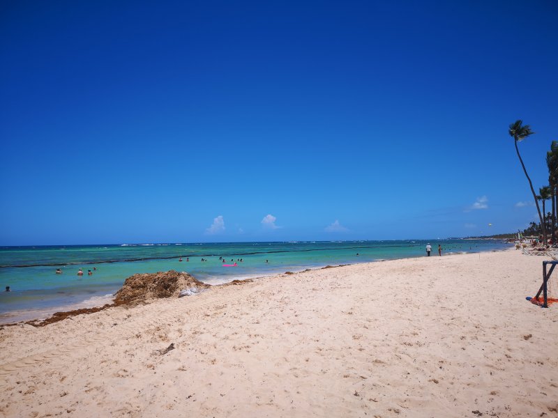 Algas (Sargazo) en playas de Punta Cana y Rep. Dominicana