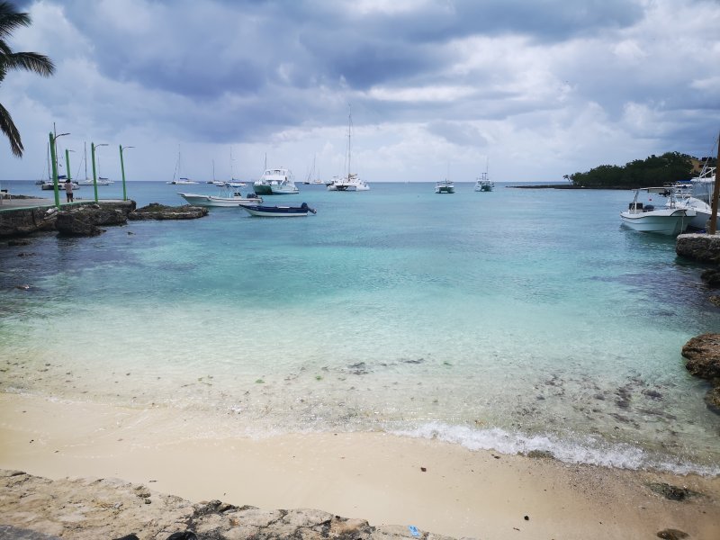 Algas (Sargazo) en playas de Punta Cana y Rep. Dominicana