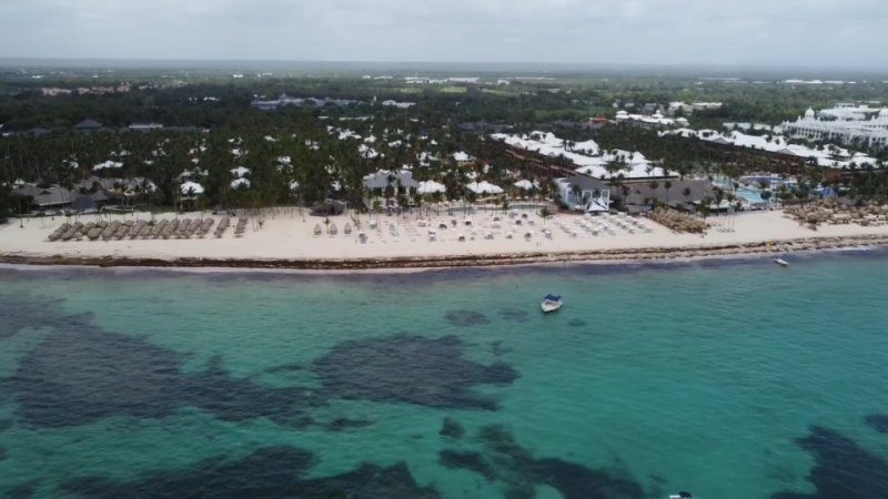 Algas (Sargazo) en playas de Punta Cana y Rep. Dominicana