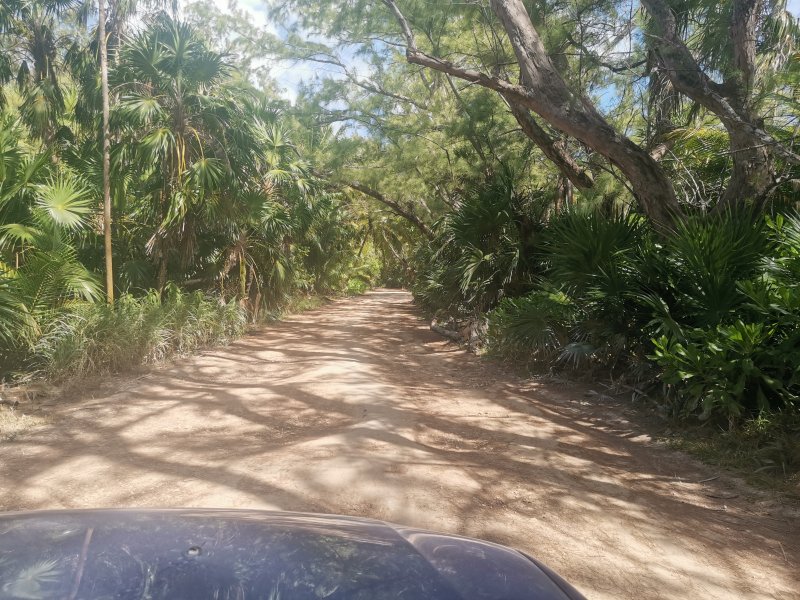 Tulum-Punta Allen, Sian Ka'an desde Punta Allen - Excursiones