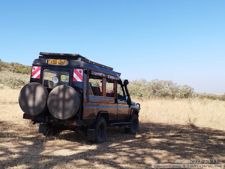 Viajar a Kenia: safaris, rutas y consultas generales