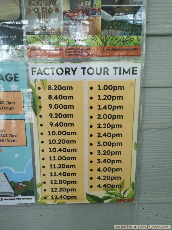 Cameron Highlands: Visitas, Transporte, ... (Malasia)