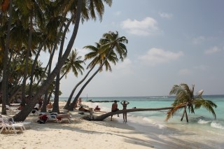 Playa Maafushi, Islas Locales en Maldivas: actividades, alojamientos 0