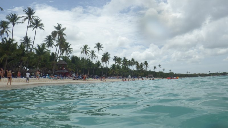 Algas (Sargazo) en playas de Punta Cana y Rep. Dominicana 0