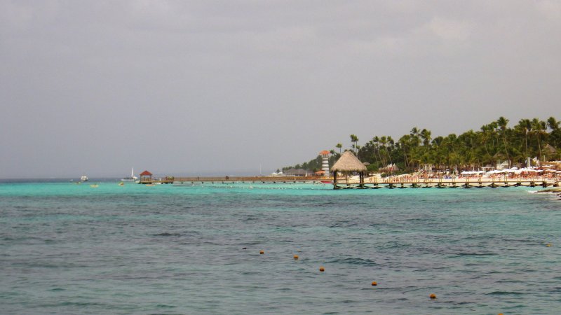 Algas (Sargazo) en playas de Punta Cana y Rep. Dominicana