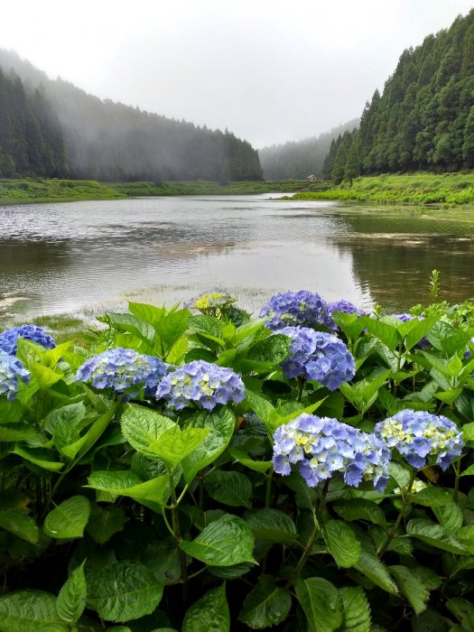 Consejos para visitar Sete Cidades, Azores 1