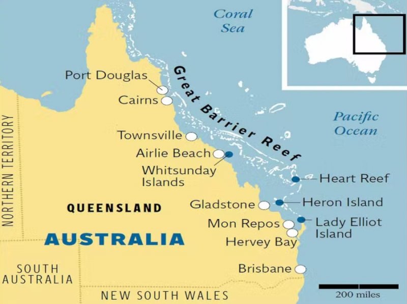 La Gran Barrera de Coral: buceo y cruceros - QLD, Australia
