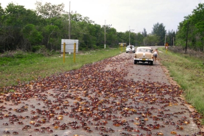 Cuba por libre: rutas e itinerarios