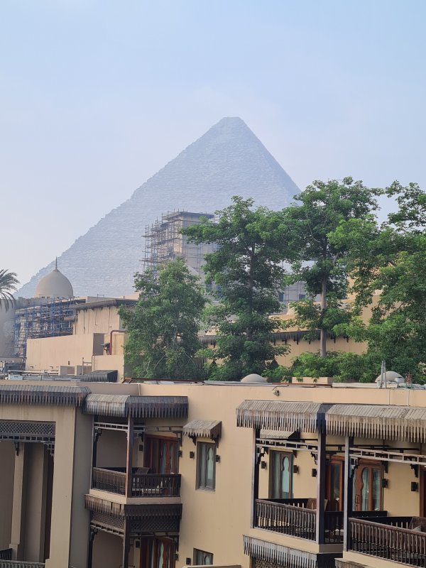 Guía en El Cairo - Mostafa Said 2