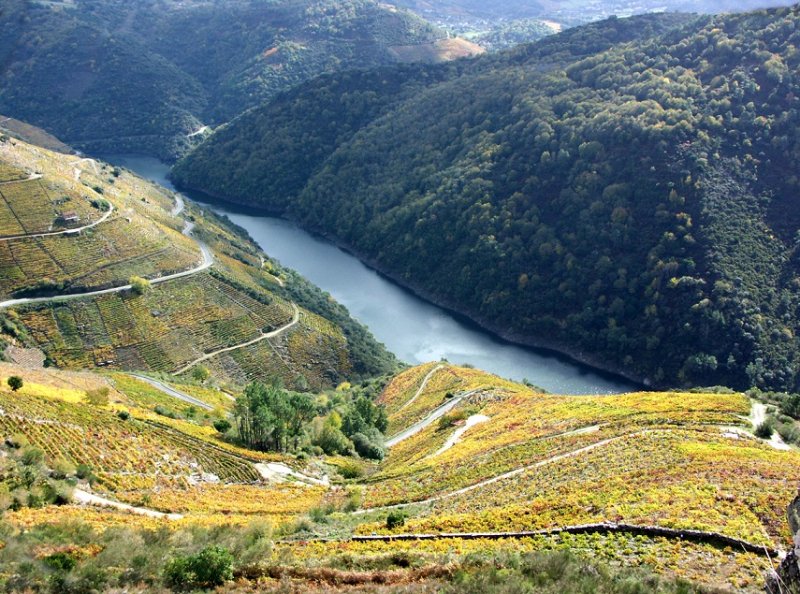 Miradores, fotografía en la Ribeira Sacra - Foro Galicia