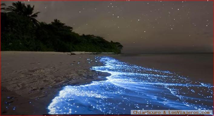 Plancton luminoso, ¿Qué zona de playa escoger en Colombia? Mejores playas