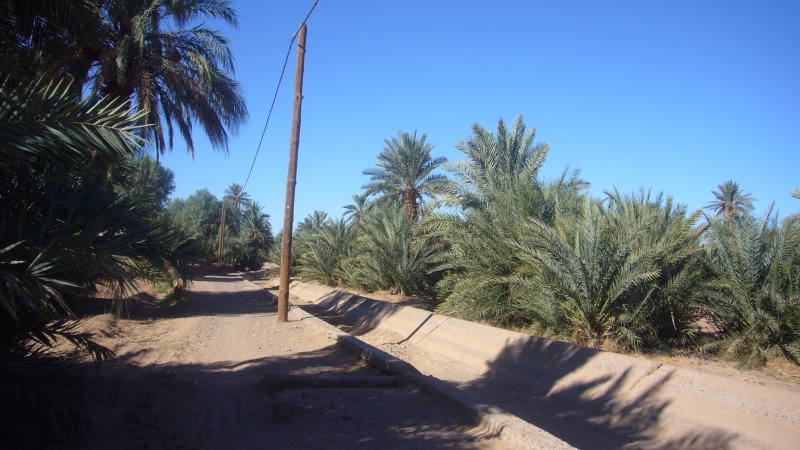 Canales primarios de reparto, Valle del Draa - Atlas. Marruecos 2