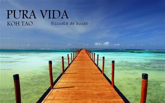 PURA VIDA Koh Tao buceo 100% en Espanol  100% Oficial