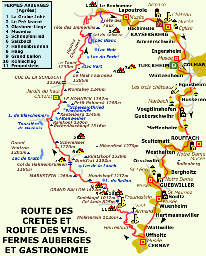 Recién llegados de Alsacia: Recomendaciones - Francia