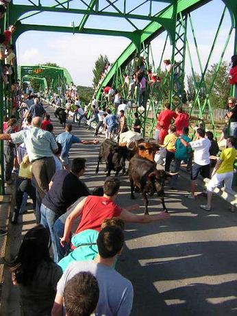 Fiestas y tradiciones populares en España 0