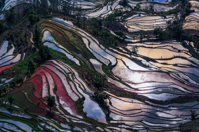 Terrazas de Arrozales de Yuanyang en Honghe. YUNNAN 1