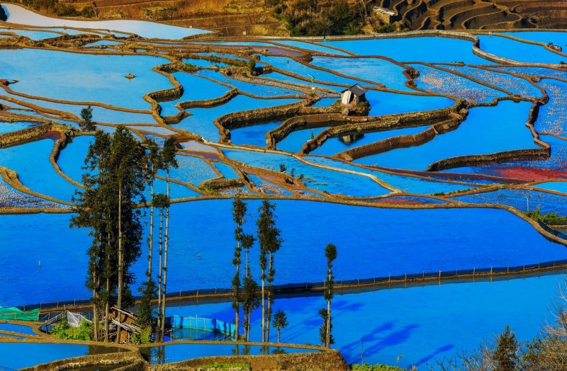 Terrazas de Arrozales de Yuanyang en Honghe. YUNNAN 0